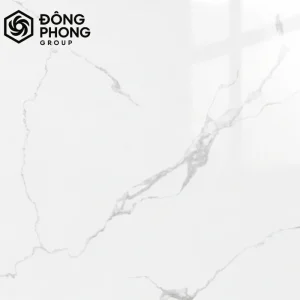 Gạch ốp lát khổ lớn 100x100 Viglacera 1010-001