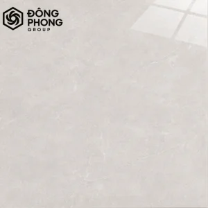 gạch ốp lát khổ lớn 100x100