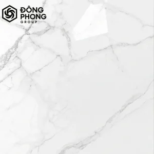 gạch ốp lát khổ lớn 100x100