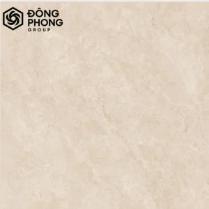 gạch ốp lát khổ lớn 100x100