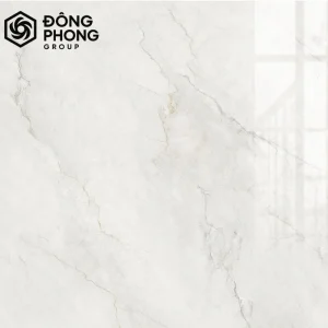 gạch ốp lát khổ lớn 100x100