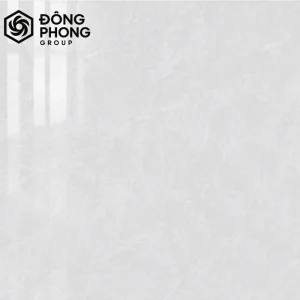 gạch ốp lát khổ lớn 100x100