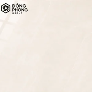 gạch ốp lát khổ lớn 100x100