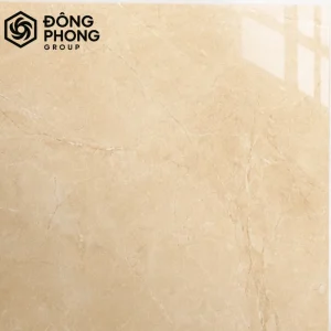 mẫu gạch ốp lát 1m