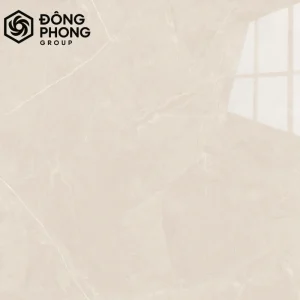 mẫu gạch ốp lát 1m