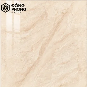 mẫu gạch ốp lát 1m