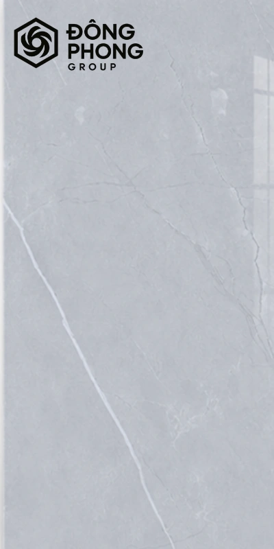 Gạch ốp lát khổ lớn 60x120 Vitto 6012-319