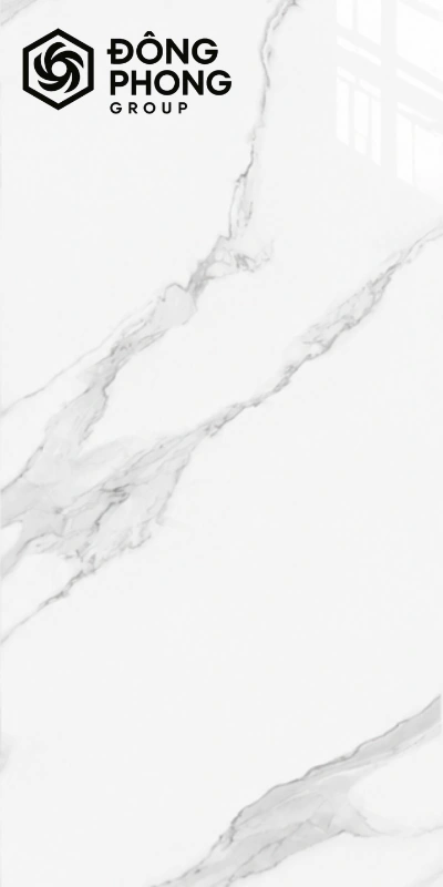 Gạch ốp lát khổ lớn 60x120 Vitto 6012-321