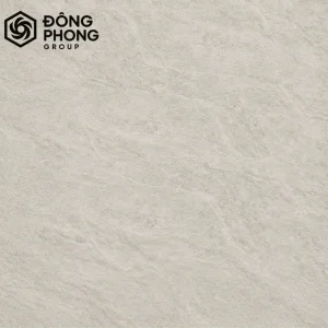 Gạch ốp lát 60x60 Taicera 60-002