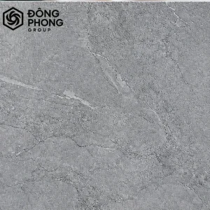 Gạch ốp lát 60x60 Taicera 60-004
