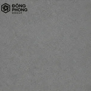 Gạch ốp lát 60x60 Taicera 60-005