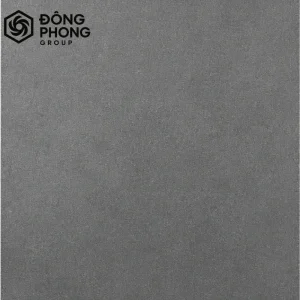 Gạch ốp lát 60x60 Taicera 60-010