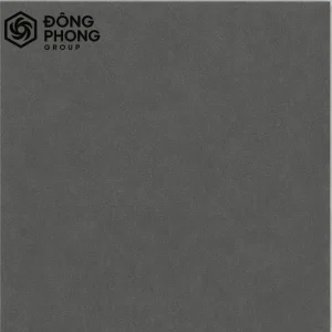 Gạch ốp lát 60x60 Taicera 60-011