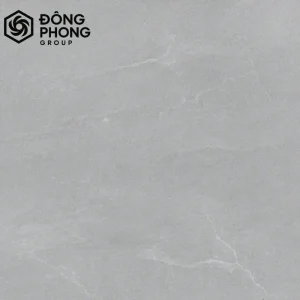 Gạch ốp lát 60x60 Taicera 60-012