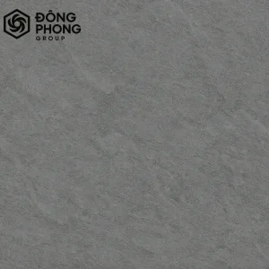 Gạch ốp lát 60x60 Taicera 60-014