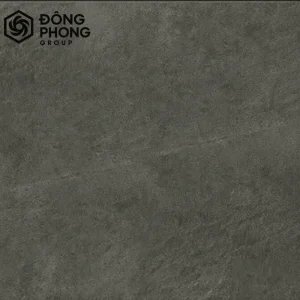 Gạch ốp lát 60x60 Taicera 60-016