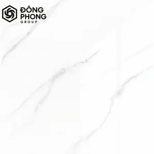 gạch men bóng ốp lát 60x60