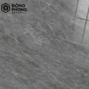 Gạch ốp lát 60x60 60-090