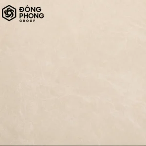 Gạch ốp lát 60x60 60-094