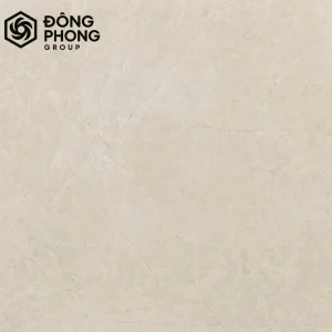 Gạch ốp lát 60x60 60-095
