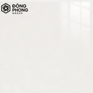 gạch men bóng ốp lát 60x60