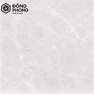 Gạch ốp lát 60x60 60-097