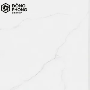 Gạch ốp lát 60x60 60-102