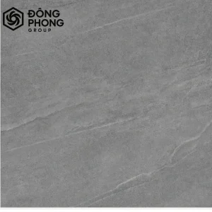 Gạch ốp lát 60x60 60-103