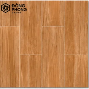 Gạch ốp lát 60x60 60-107