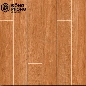 Gạch ốp lát 60x60 60-114