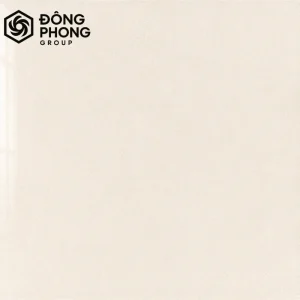 gạch men bóng ốp lát 60x60