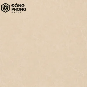 Gạch ốp lát 60x60 Nga Việt 60-120