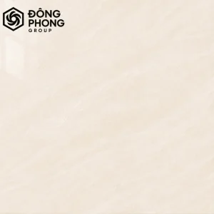 Gạch ốp lát 60x60 60-121