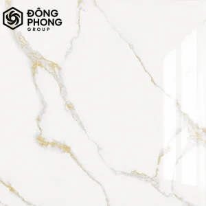 gạch men bóng ốp lát 60x60