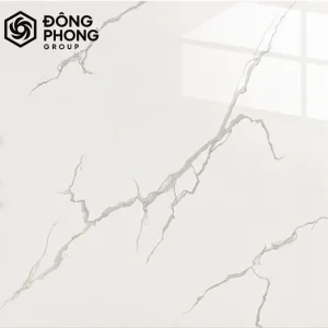 gạch men bóng ốp lát 60x60