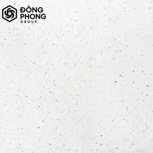 Gạch ốp lát 60x60 60-213
