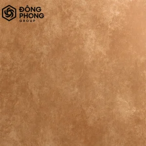 Gạch ốp lát 60x60 60-219
