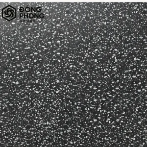 Gạch ốp lát 60x60 60-221