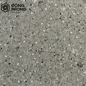 Gạch ốp lát 60x60 60-226