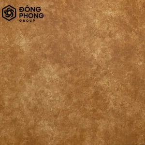 Gạch ốp lát 60x60 Đại Sàn 60-230
