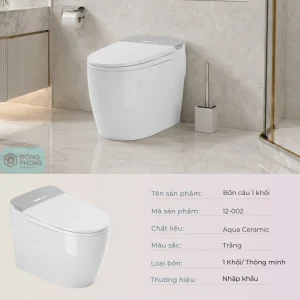 Bệt vệ sinh 12-002