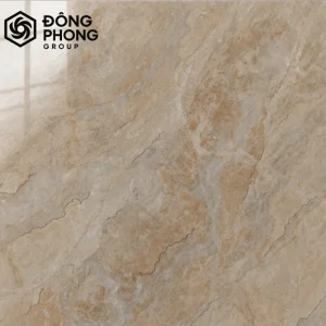 Gạch ốp lát 80x80 80-252