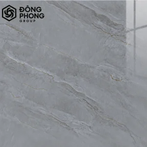 Gạch ốp lát 80x80 80-253