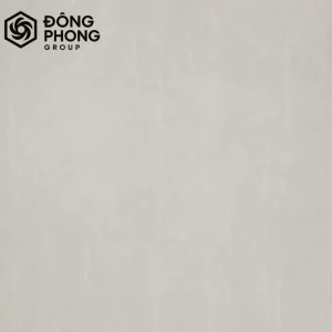 Gạch ốp lát 80x80 80-258