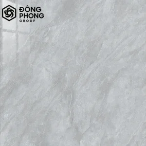 Gạch ốp lát 80x80 80-273