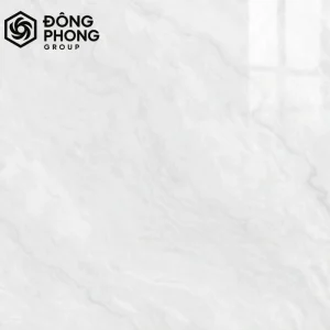 Gạch ốp lát 80x80 Catalan 80-283