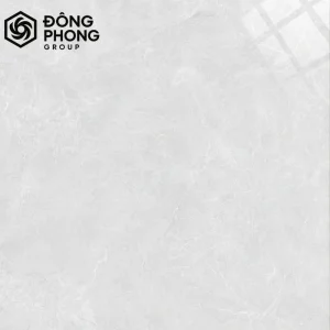 Gạch ốp lát 80x80 Nga Việt 80-289