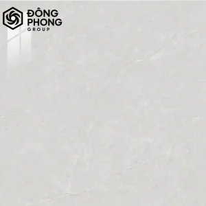 Gạch ốp lát 80x80 80-306