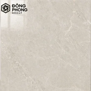 Gạch ốp lát 80x80 80-309