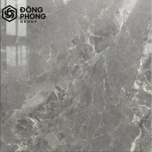 Gạch ốp lát 80x80 80-313